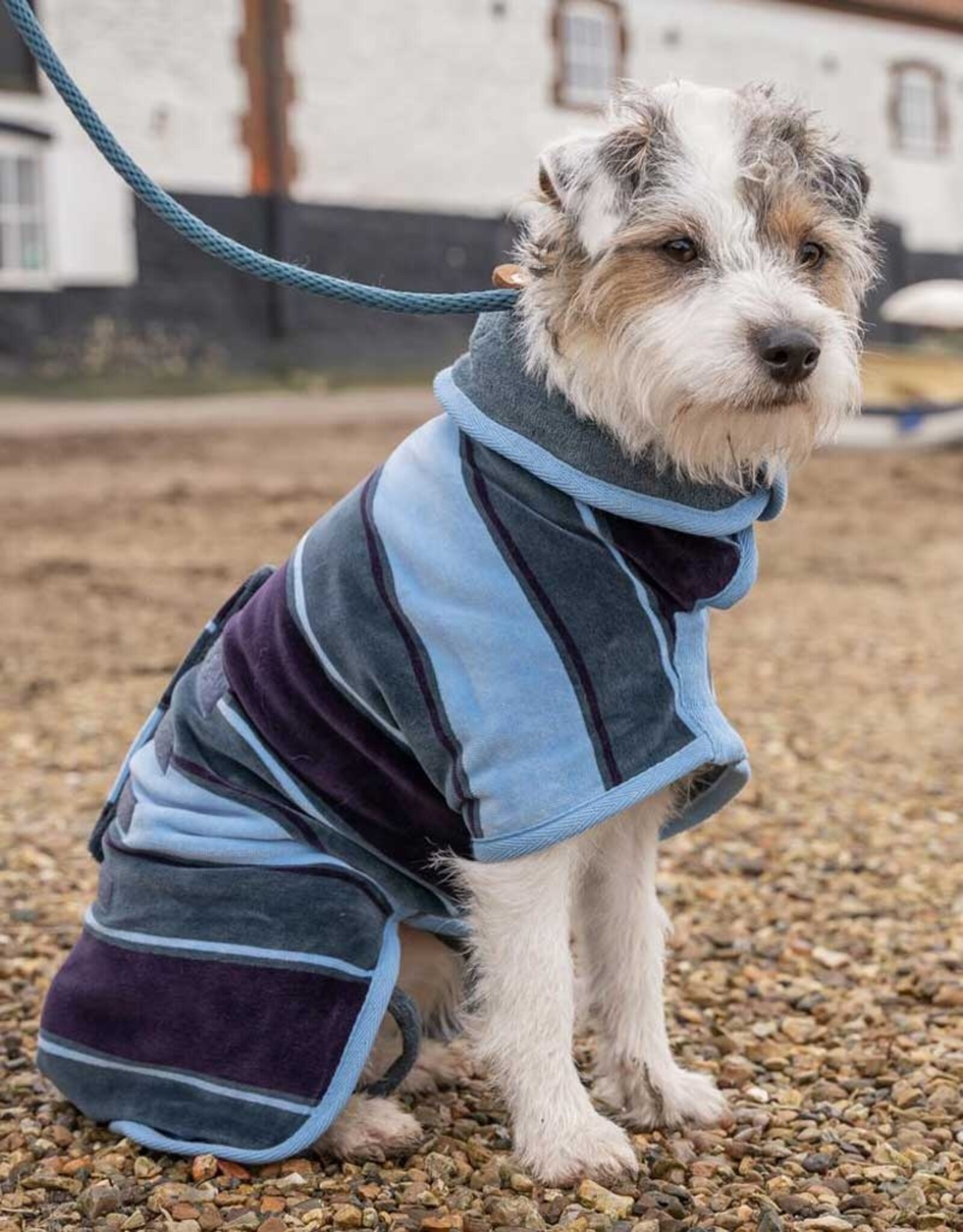 Dog Drying Coat | Ruff & Tumble |  Design Collection - Harbour