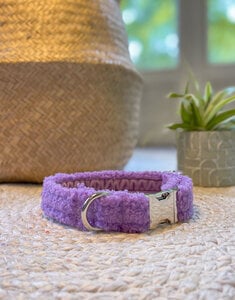 Dog Collar | Lavender Teddy