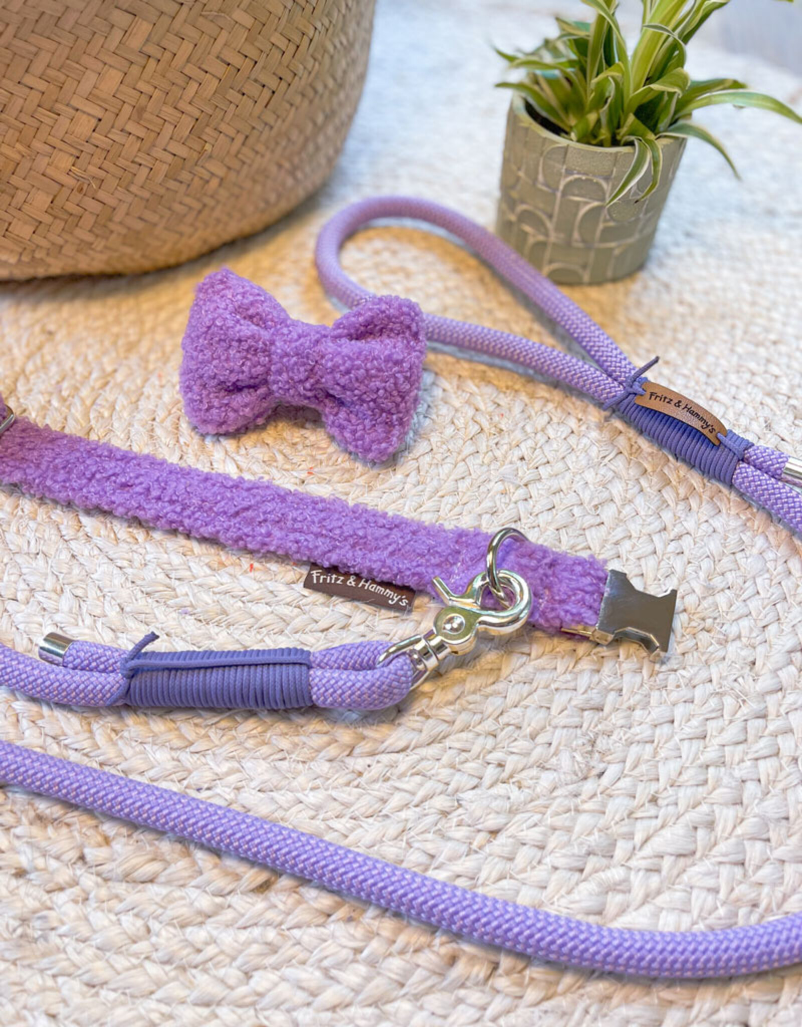 Bow Tie | Lavender Teddy