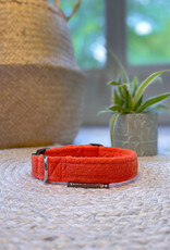 Dog Collar | Tangy Tangerine