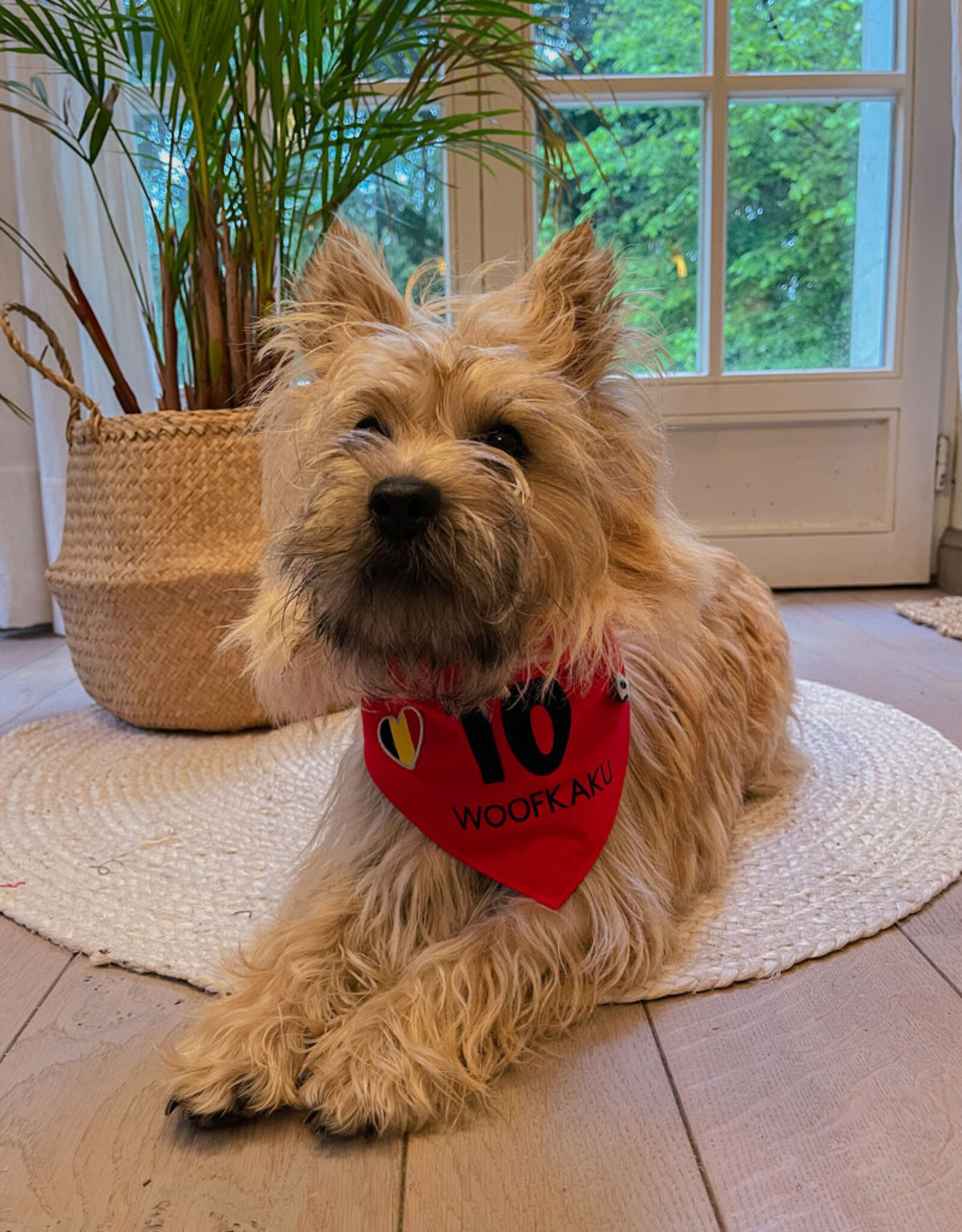 Romelu Woofkaku | Bandana | Red Devils | UEFA World Championship 2026