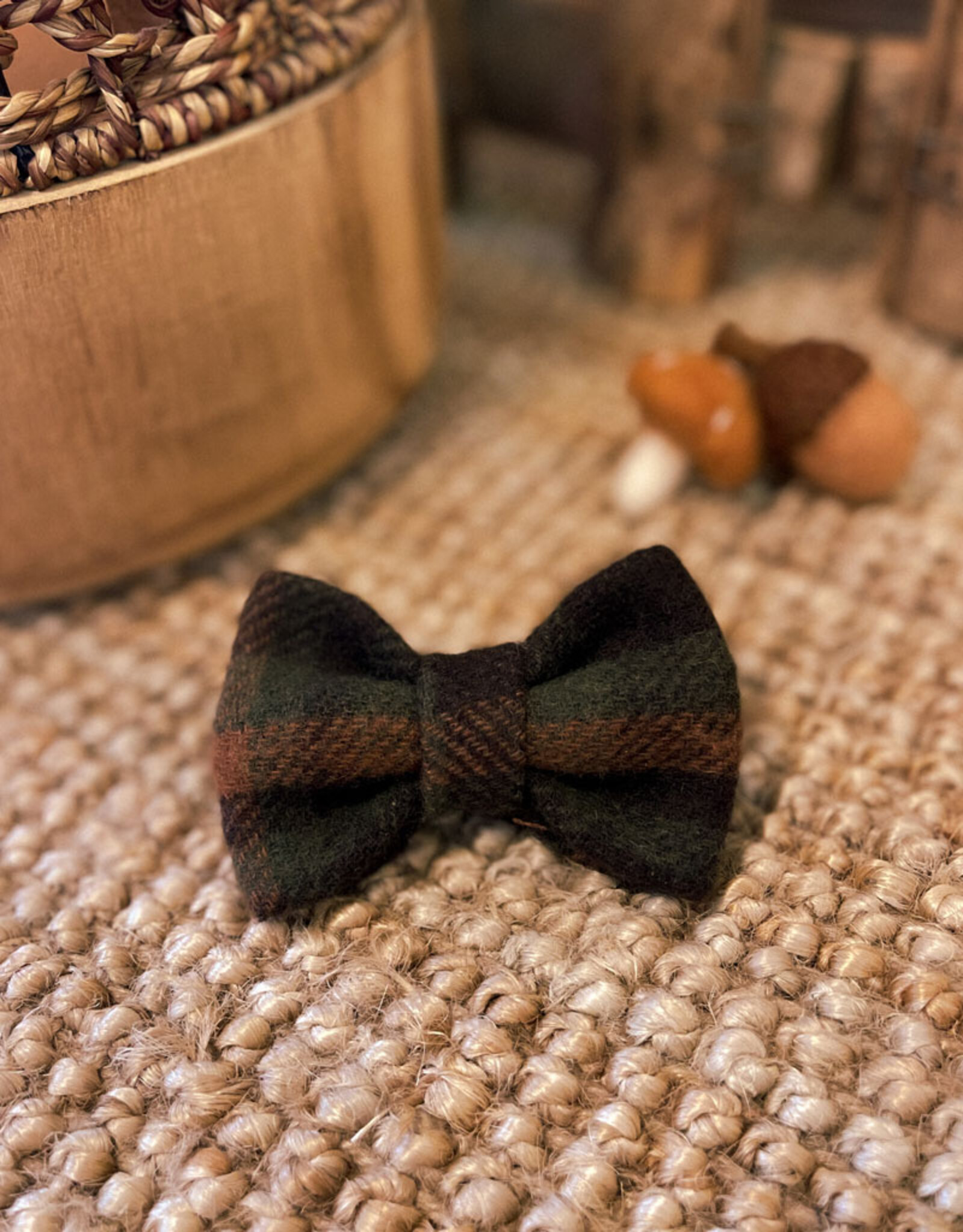 Bow Tie | Autumn Ember (last mini & L)