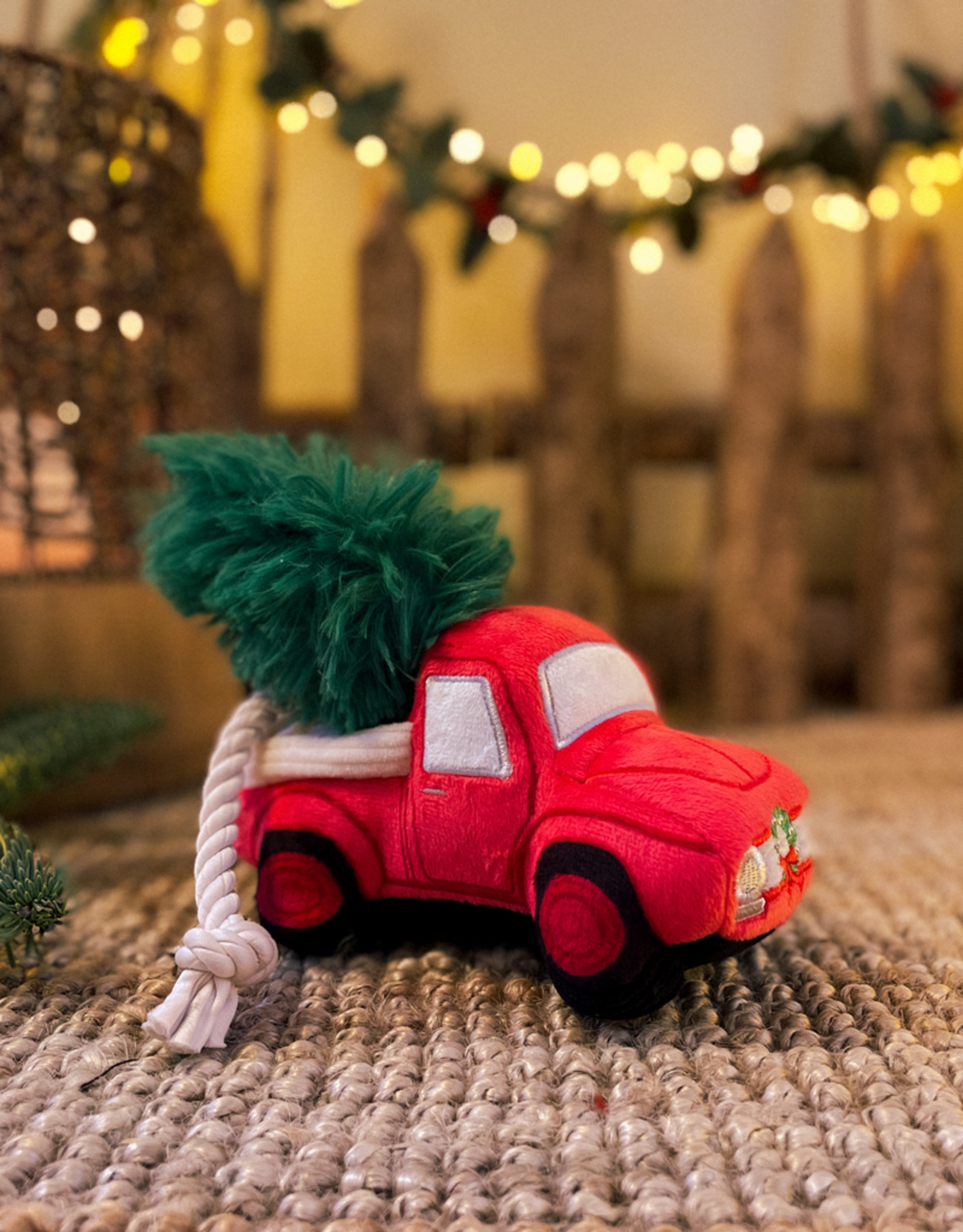 Home for the Holidays | Rode pick-up truck