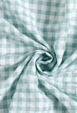 Bow Tie Eucalyptus Mist | Eucalyptus green check (last mini)