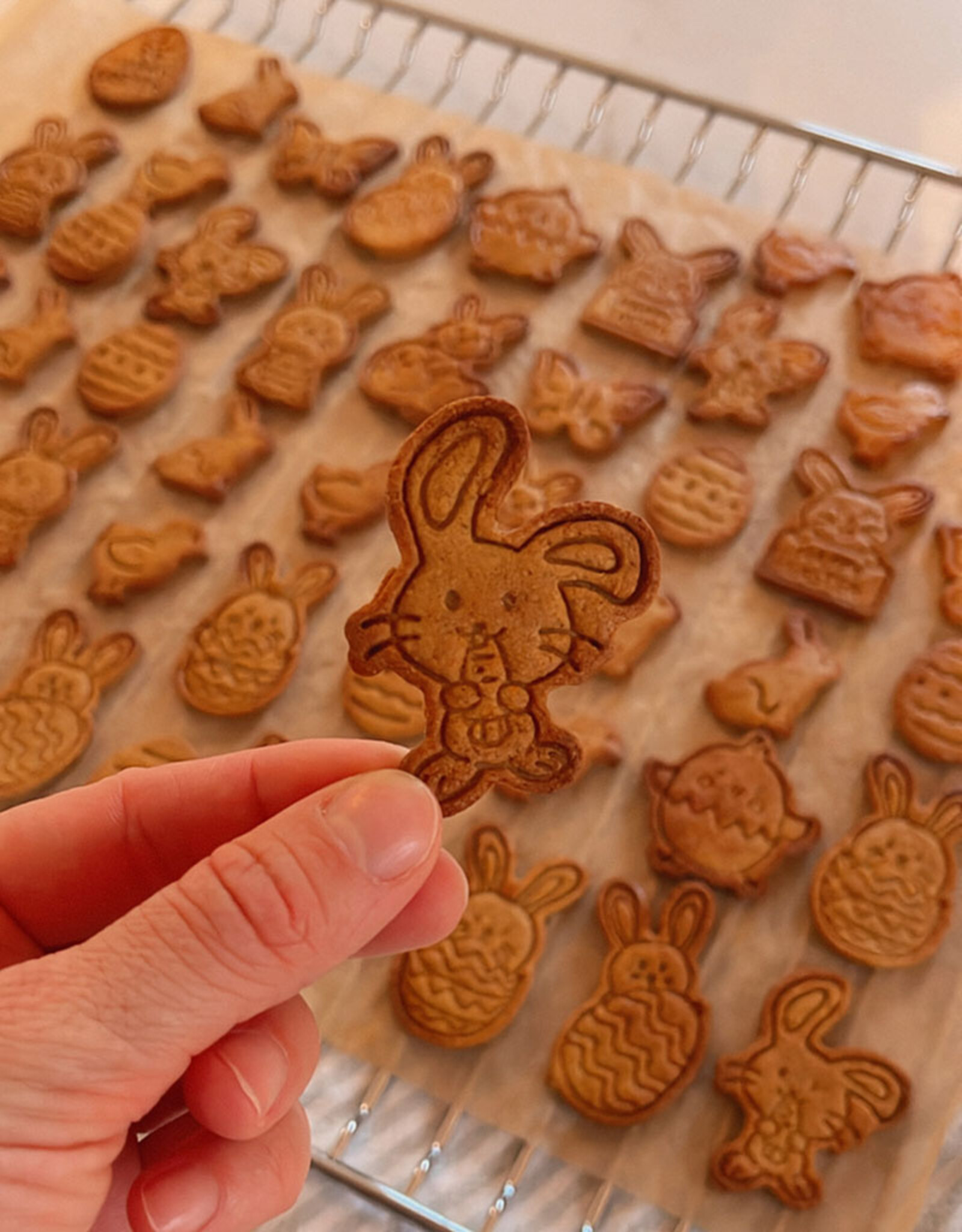 Paaskoekjes voor Honden | Wortel & Appel  | glutenvrij