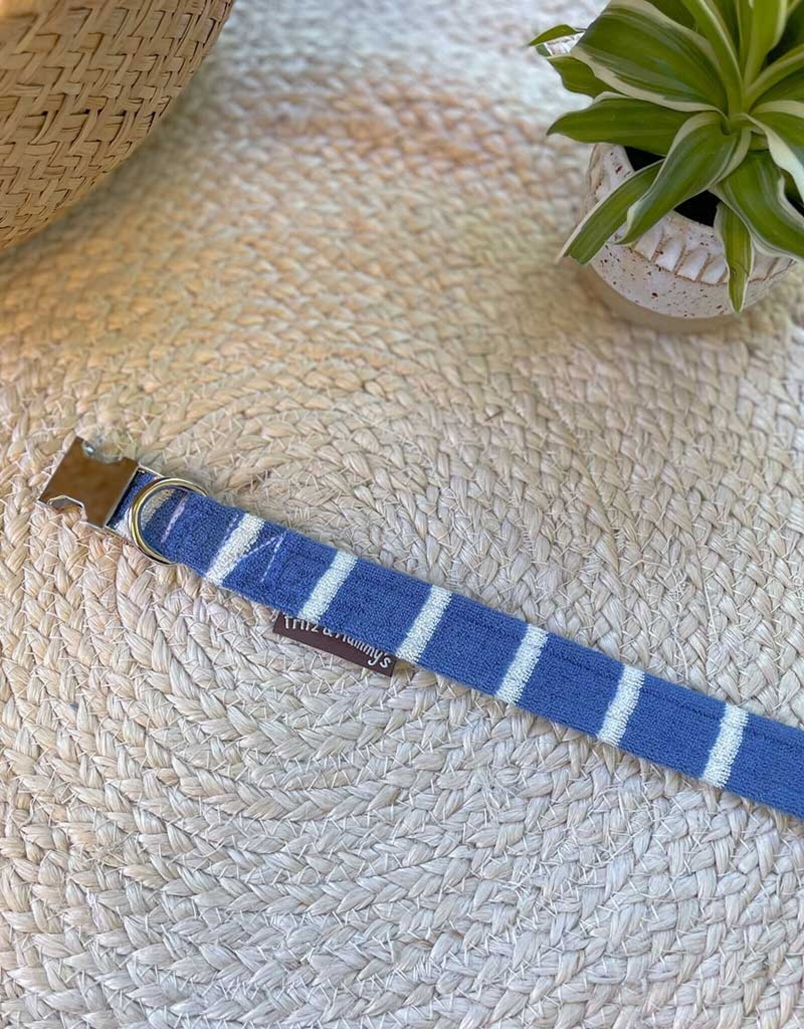Dog Collar | Seaside Stroll