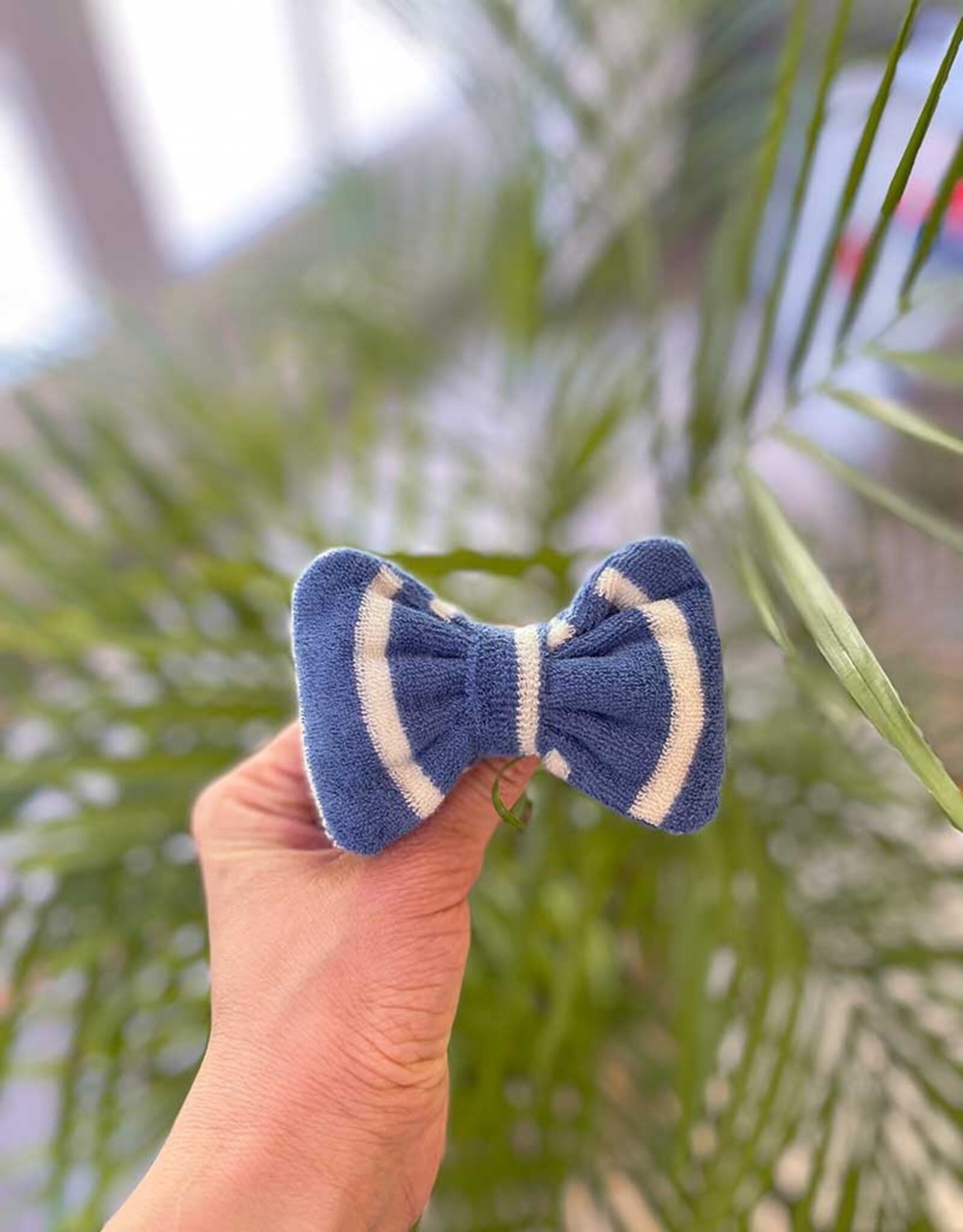 Bow Tie | Seaside Stroll