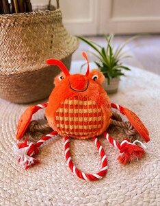 Crabby Carl | Under the Sea Collectie