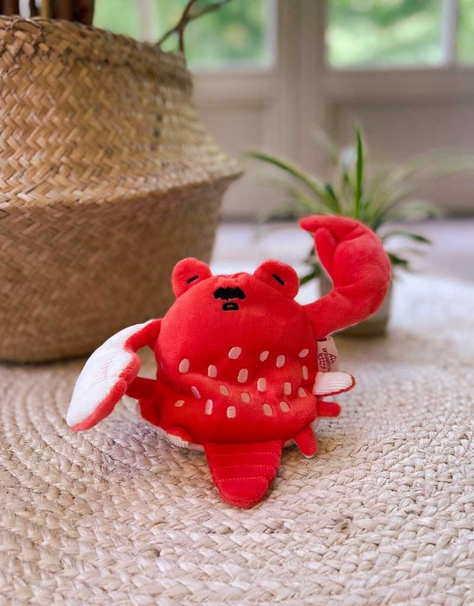 The Furry Folks Sneaky Snap | Crab Nosework Toy | The Furry Folks