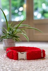 Dog Collar | Elmo