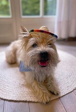 Viva la Woof | Sombrero Dog Hat