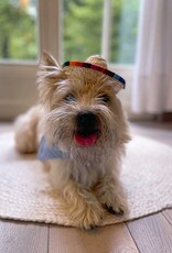 Viva la Woof | Sombrero Dog Hat
