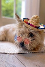 Funny Dog Sunnies | La Vie en Rose