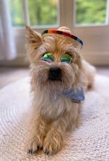 Funny Dog Sunnies | El Coolio