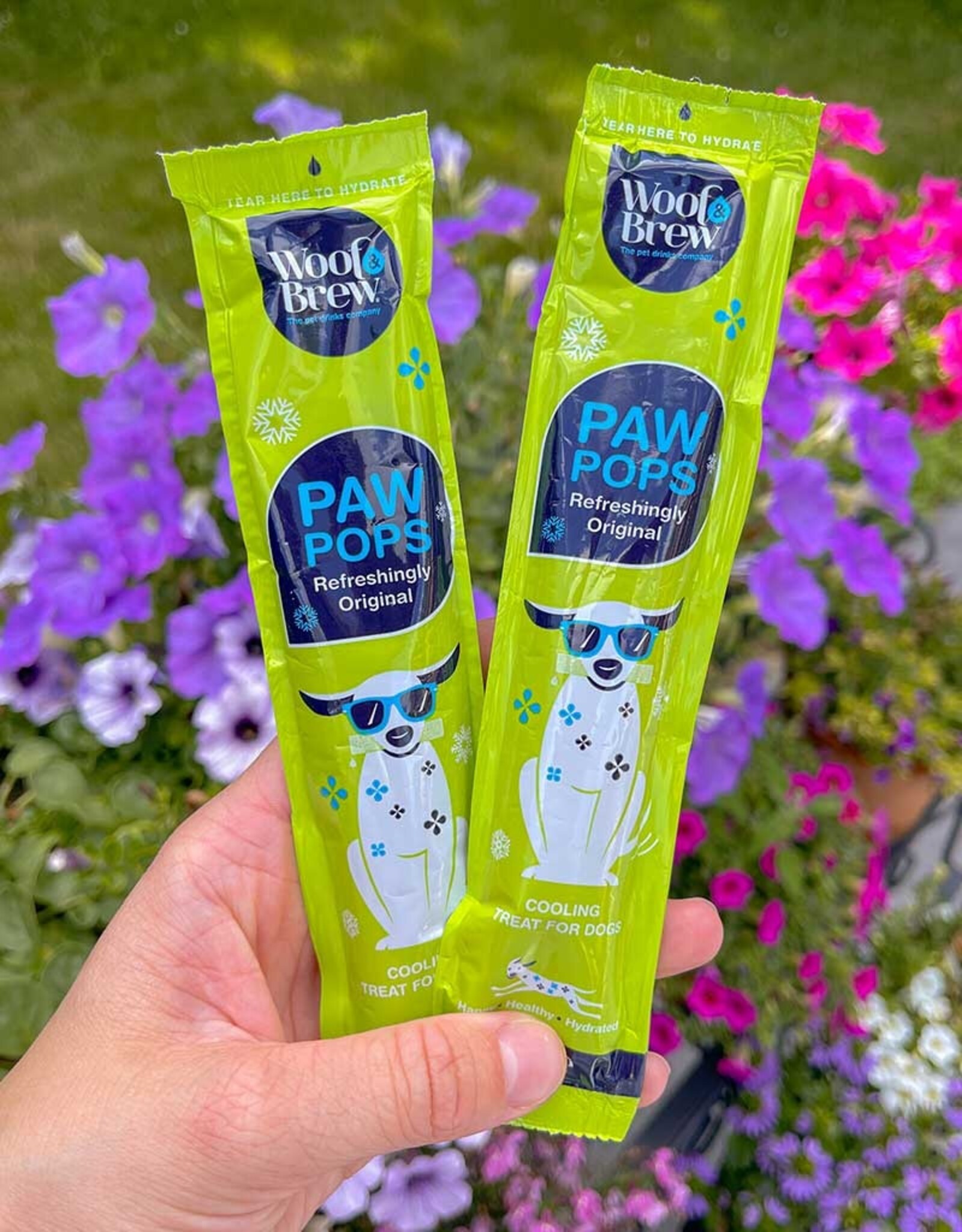 Paw Pops | Ice Pops for Dogs | Freeze at Home