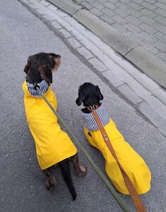 Tintin Raincoat | Yellow