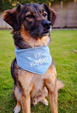 Baby Announcement | Bandana Blauw