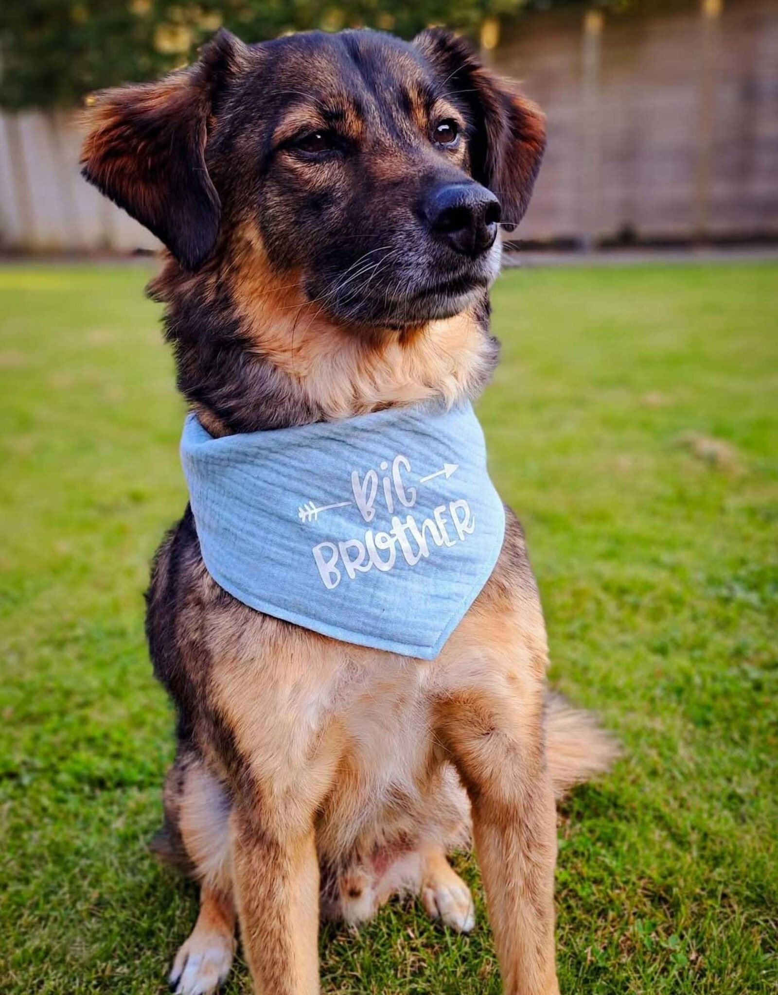 Baby Announcement | Bandana Blue