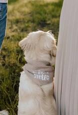 Baby Announcement | Bandana Beige