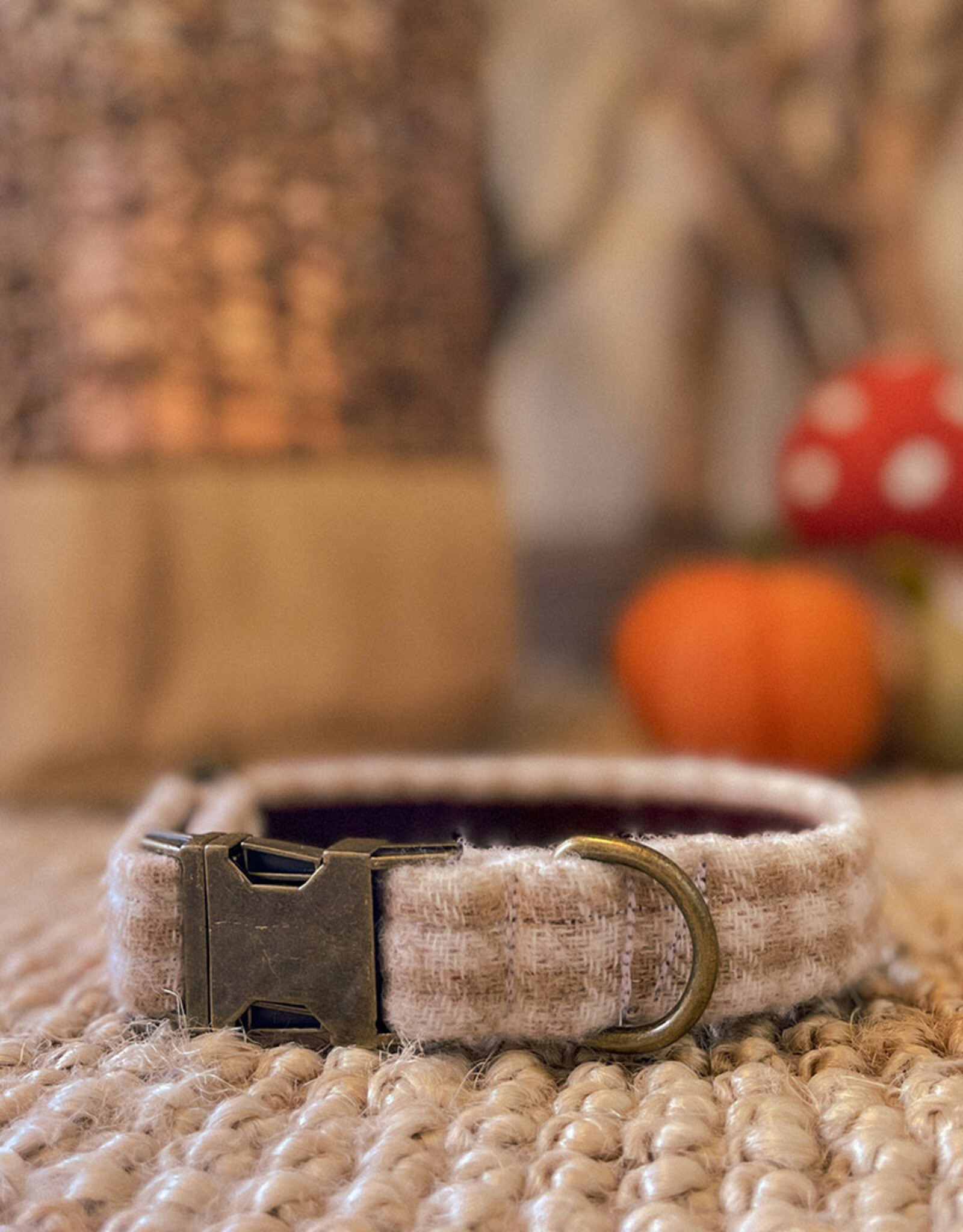 Halsband |  Oatmilk Check (laatste small breed)
