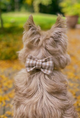Bow Tie | Oatmilk Check