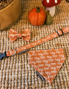 Halsband Hey Boo | Halloweenprint Oranje