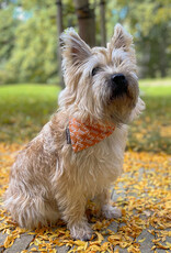 Slip-On Bandana  Hey Boo | Halloweenprint Oranje