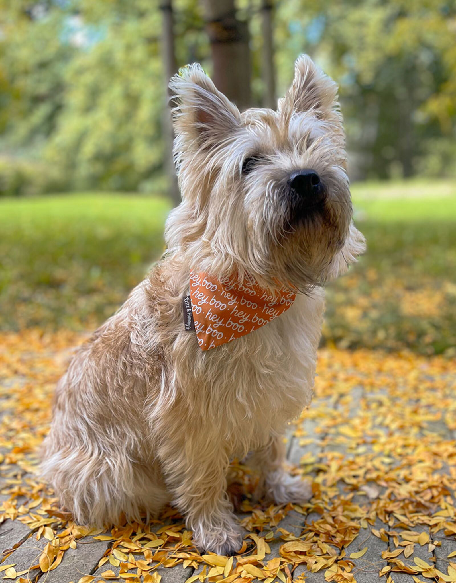 Slip-On Bandana  Hey Boo | Halloweenprint Oranje