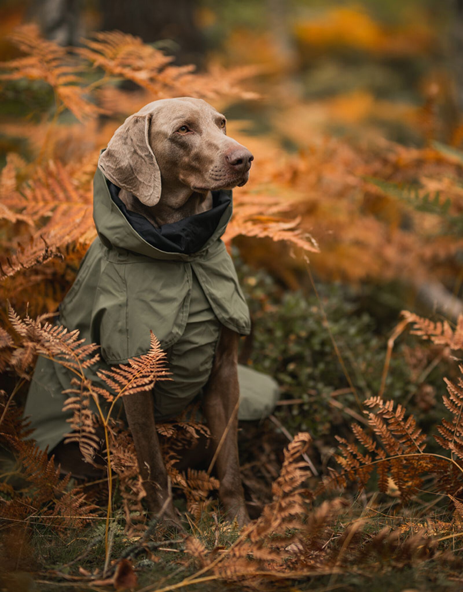 PAIKKA PAIKKA | Reflective Raincoat | Shell Jacket Green