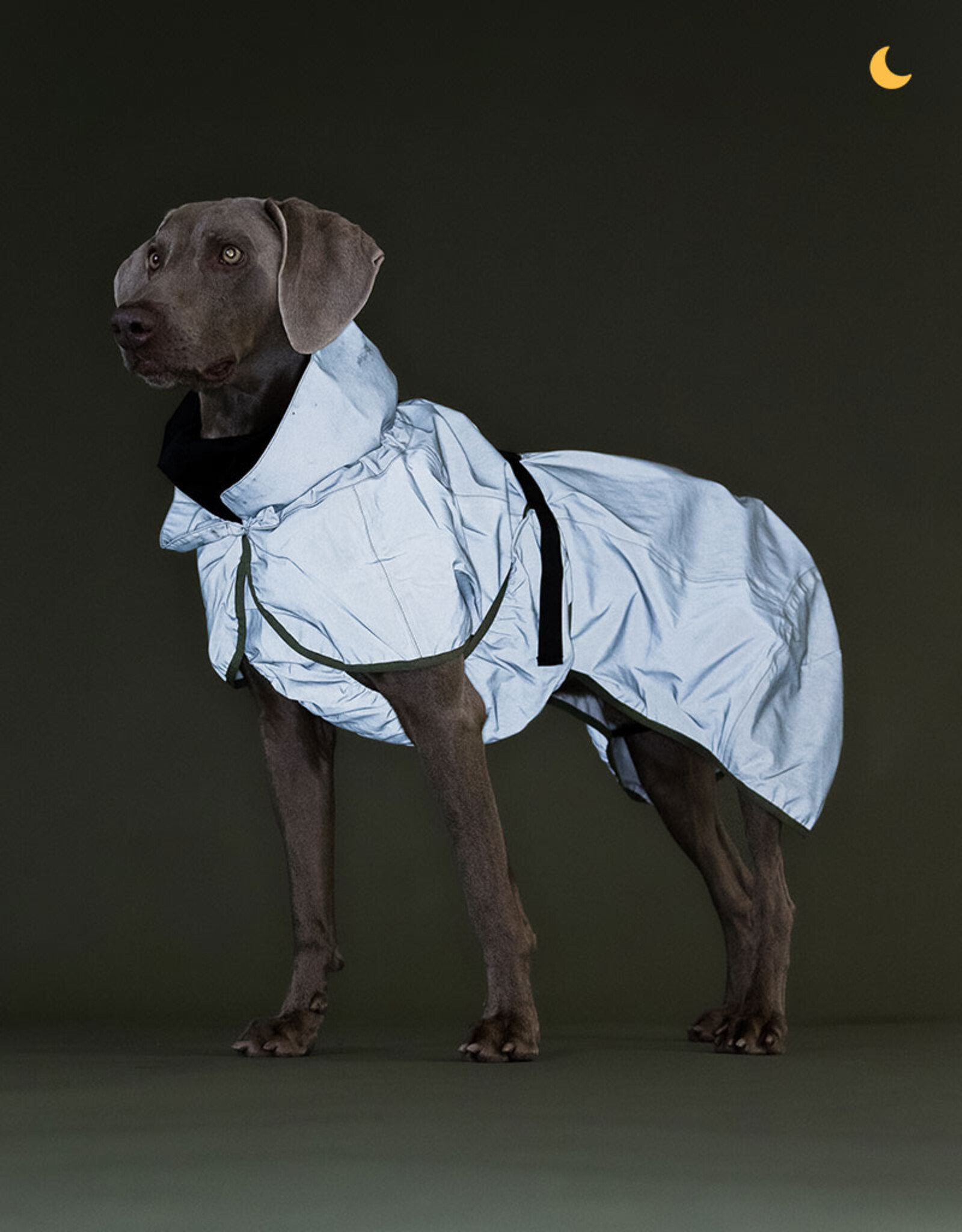 PAIKKA PAIKKA | Reflective Raincoat | Shell Jacket Green
