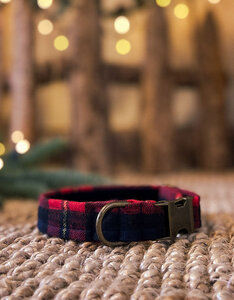 Halsband | Winter Plaid