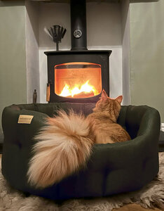 Earthbound Hondenmand rond | Donker Groen Morland