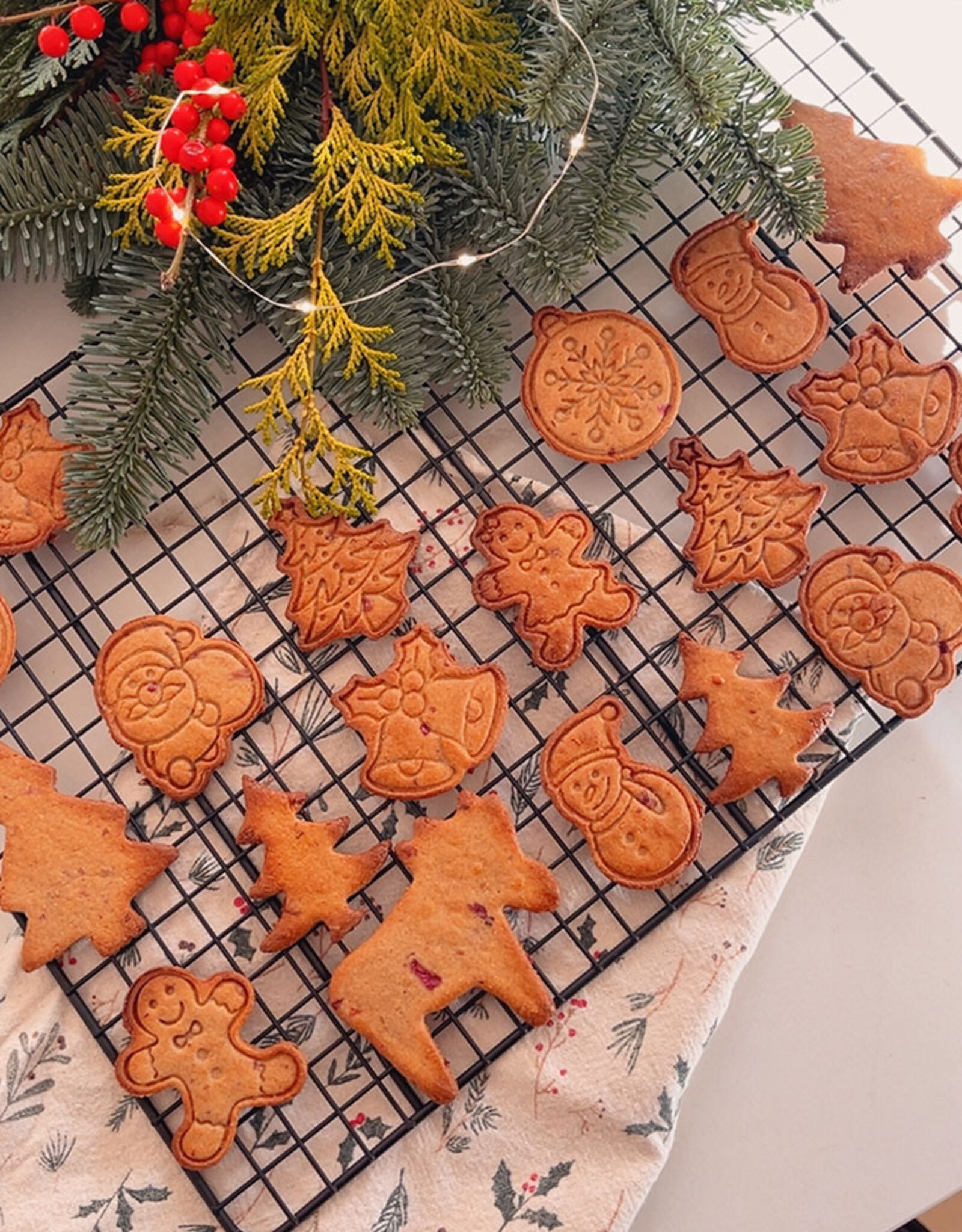 Mini Kerstboom koekjes met Veenbessen & Kaneel in metalen blik | glutenvrij | 100g