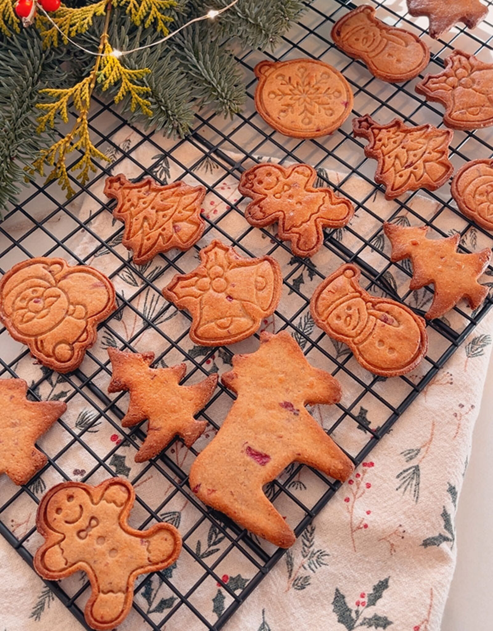 Christmas Cookies with Cranberries & Cinnamon | gluten free