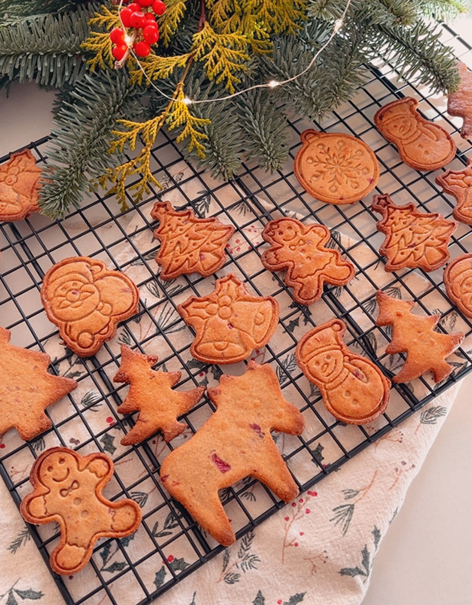 Christmas Cookies with Cranberries & Cinnamon | gluten free