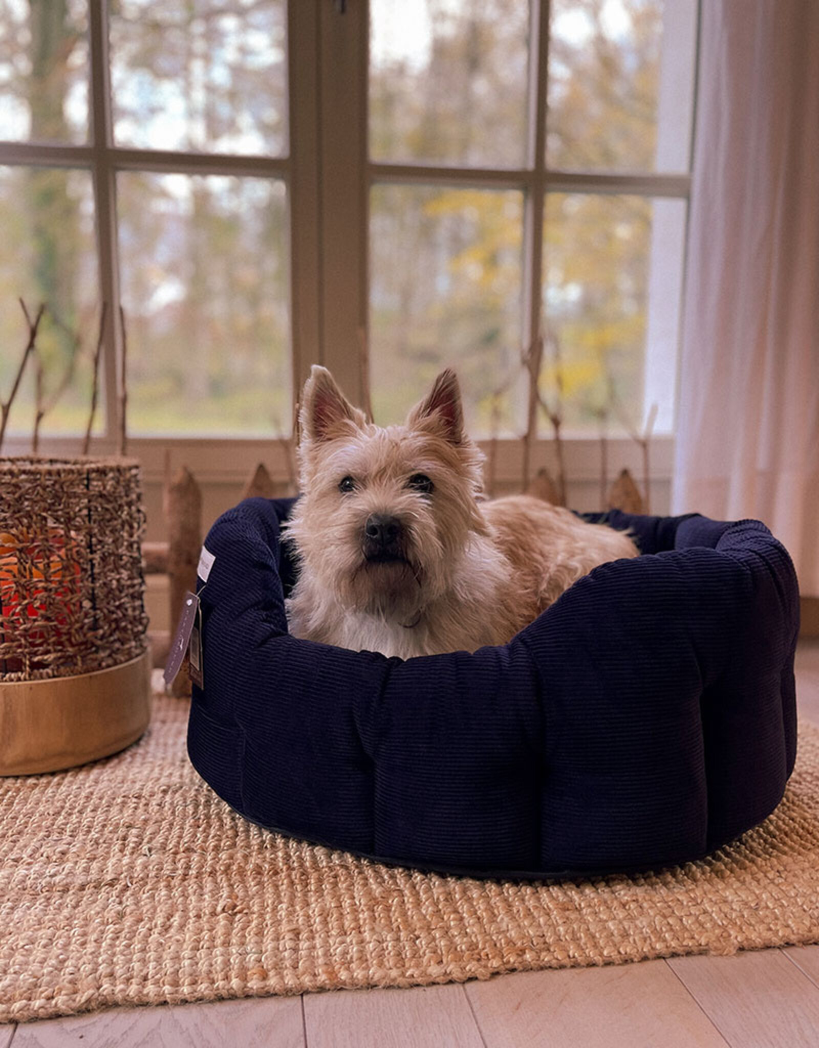 Earthbound Hondenmand rond | Chester Donkerblauw