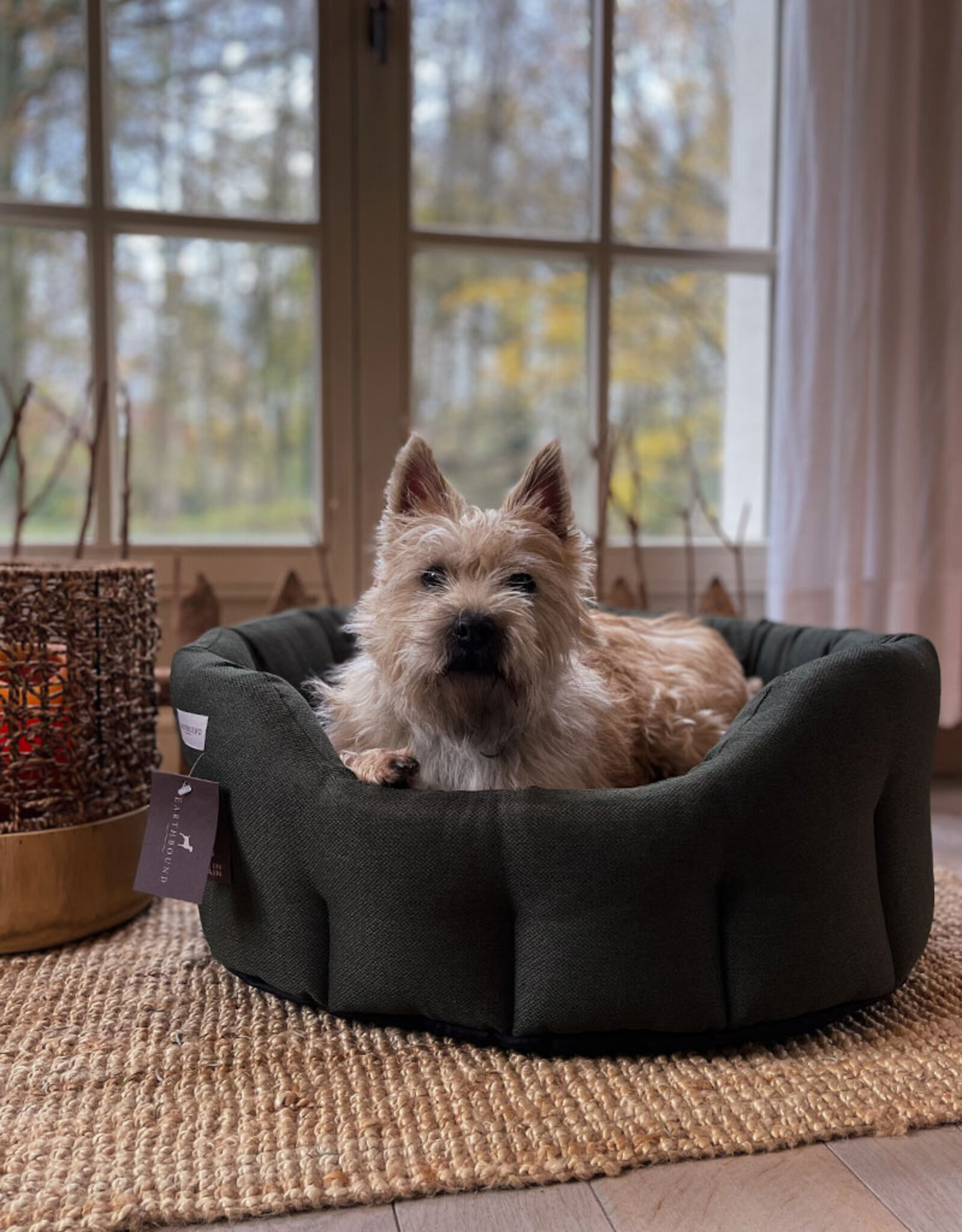 Earthbound Round Morland Dog Bed | Dark Green