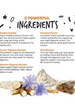 Bugalugs Pre- & Probiotica for dogs | Bugalugs