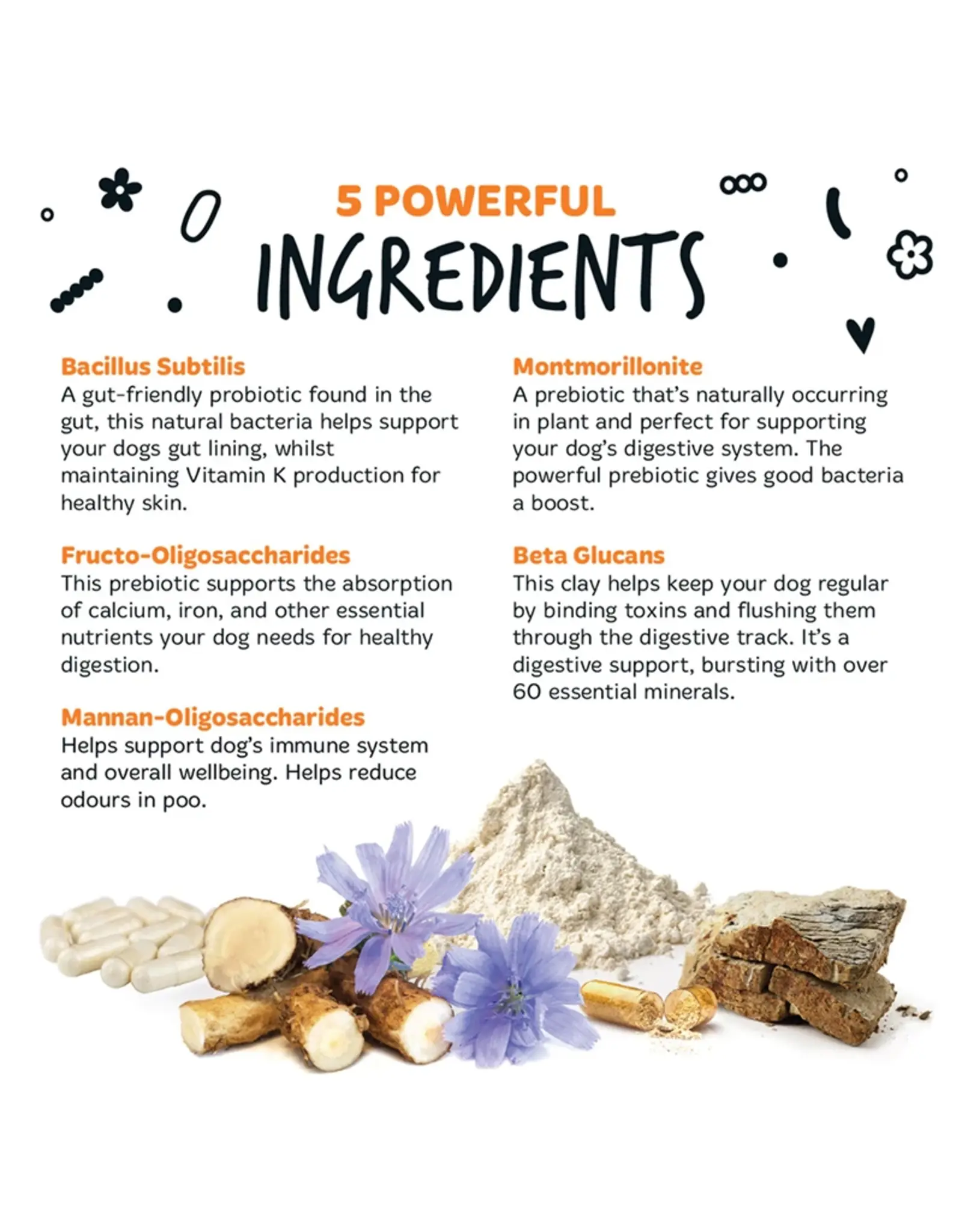 Bugalugs Pre- & Probiotica for dogs | Bugalugs