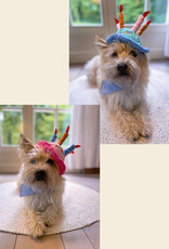 Barkday Box for Dogs | Compose it yourself!