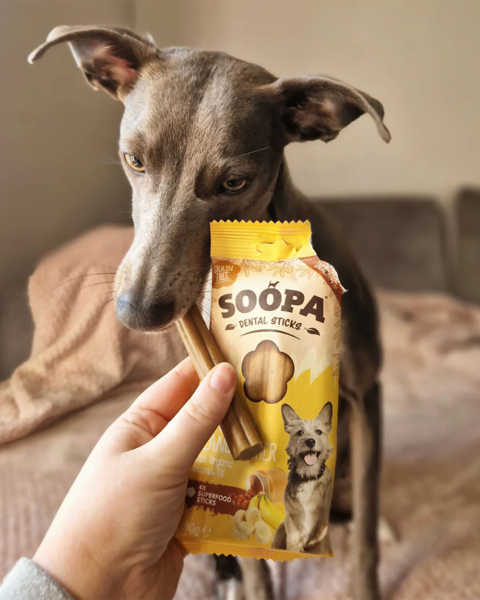 Soopa Soopa | Natuurlijke Dental Stick | Banaan & Pindakaas