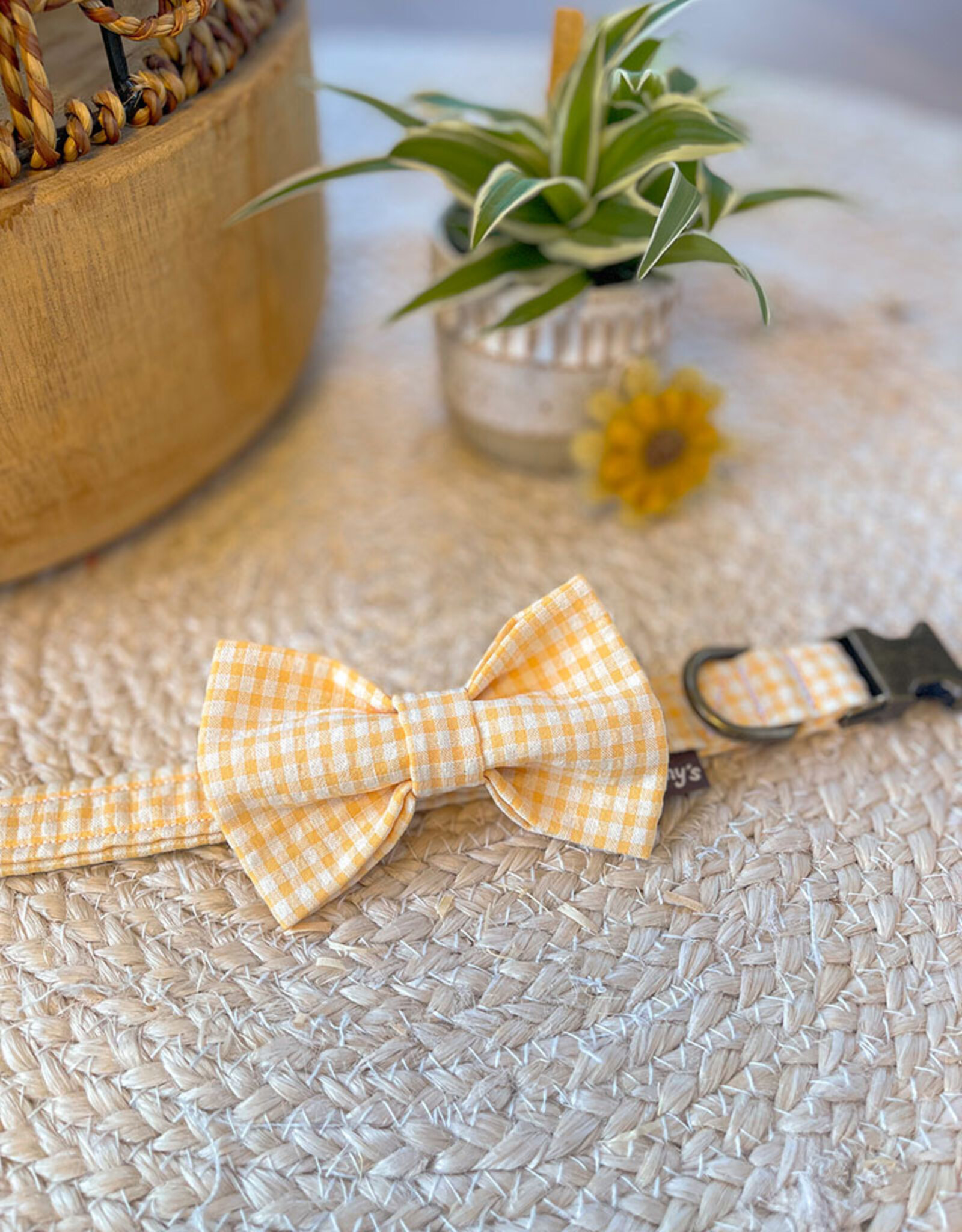 Dog Bow Tie | Buttercup Yellow Check