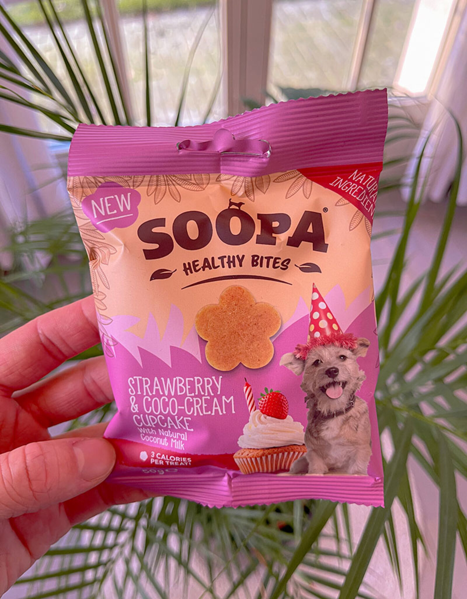 Soopa Soopa | Healthy Bites | Strawberry & Coco-Cream Cupcake