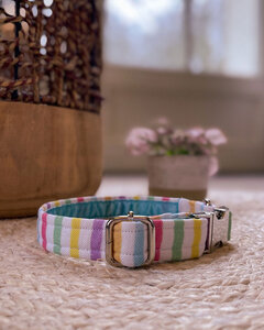 Halsband | Pastel Rainbow