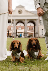 Kostuum voor honden | Groen met Schotse ruit strik | Slip-on Bandana