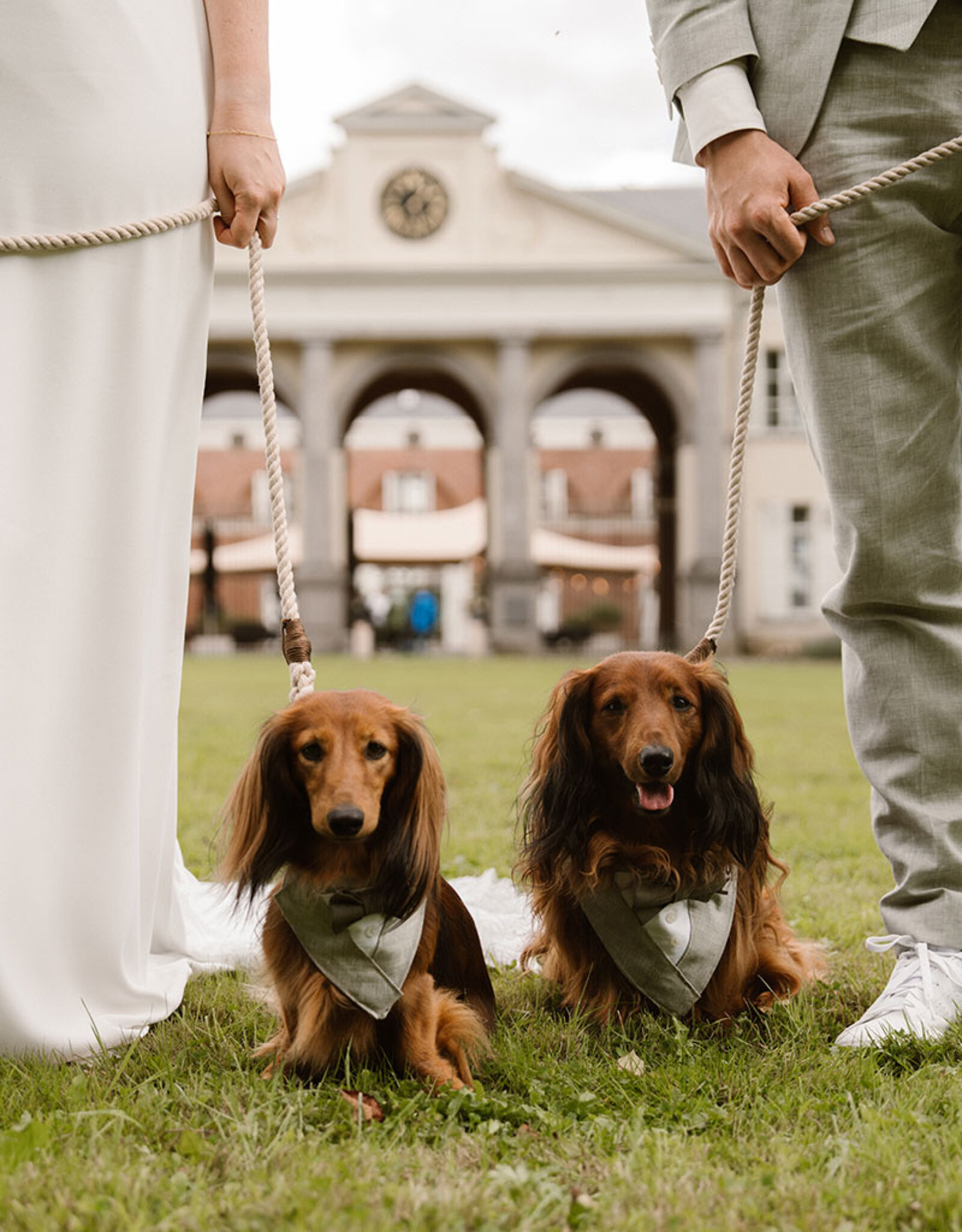 Kostuum voor honden | Groen met Schotse ruit strik | Slip-on Bandana
