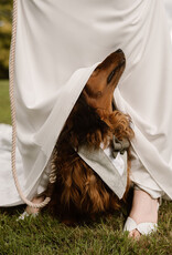 Kostuum voor honden | Groen met Schotse ruit strik | Slip-on Bandana