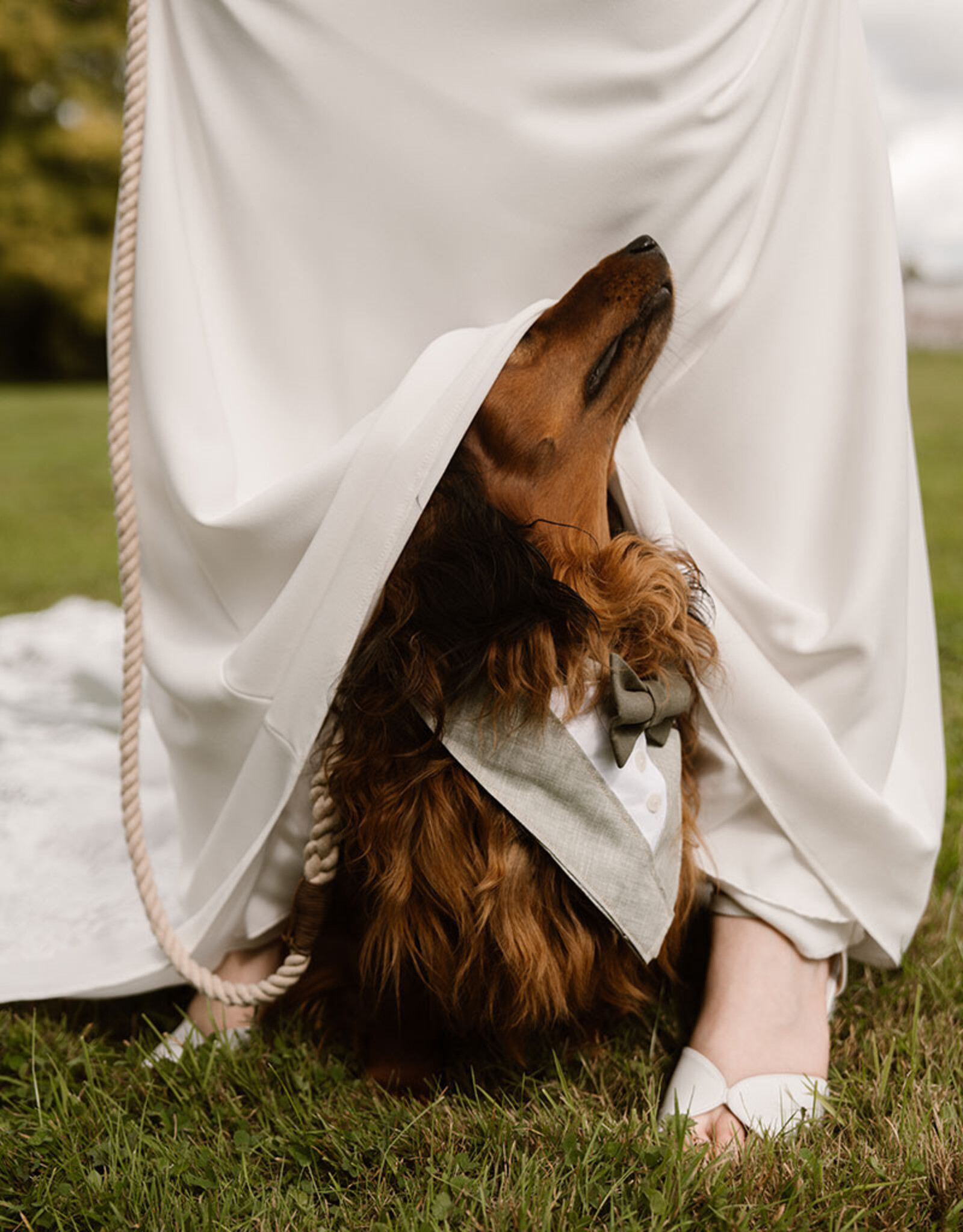 Kostuum voor honden | Groen met Schotse ruit strik | Slip-on Bandana