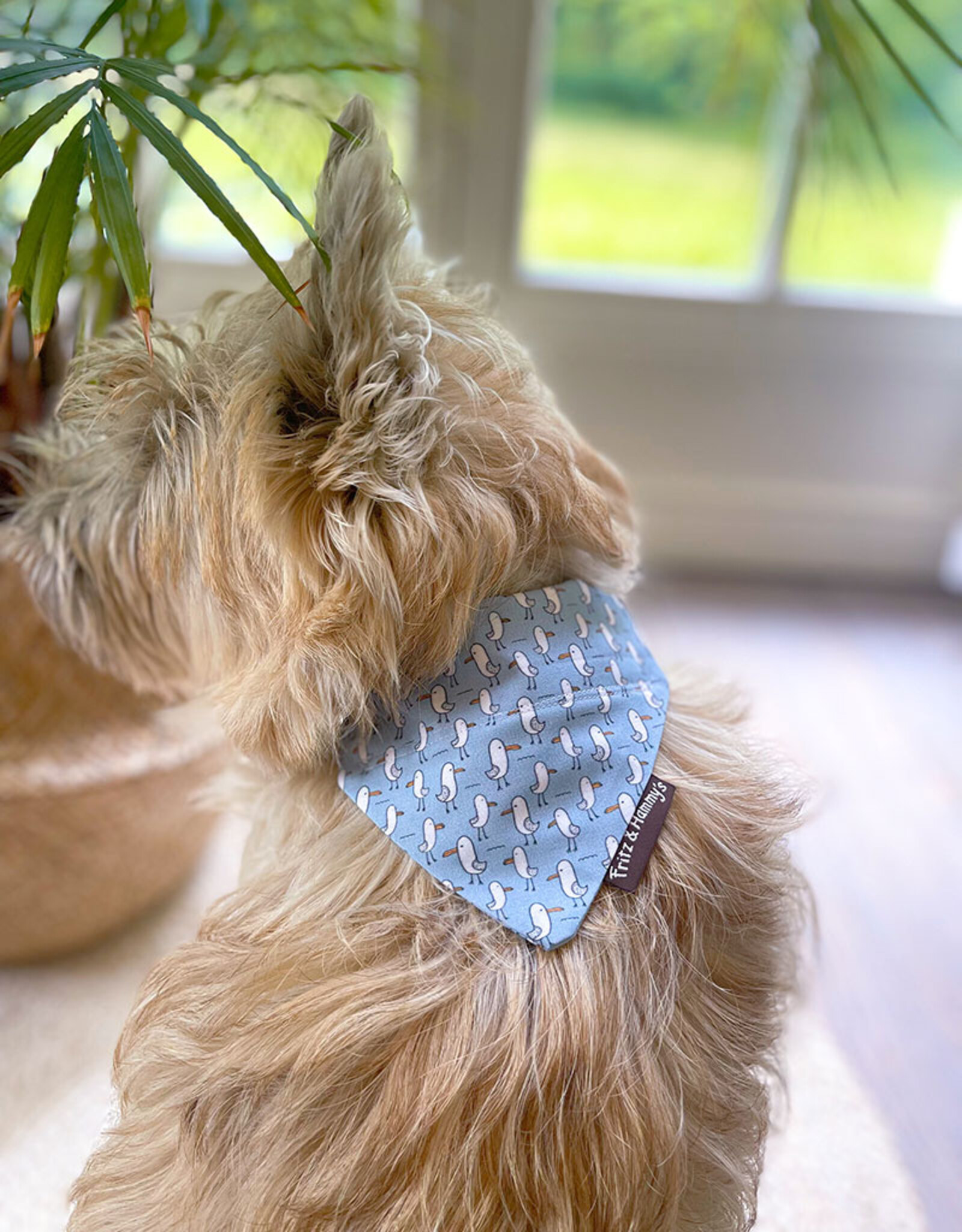Slip-On Bandana  | Salty Paws Seagulls | zeemeeuw print