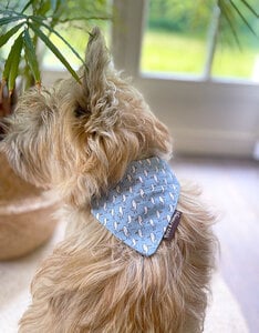 Slip-On Bandana  | Salty Paws Seagulls